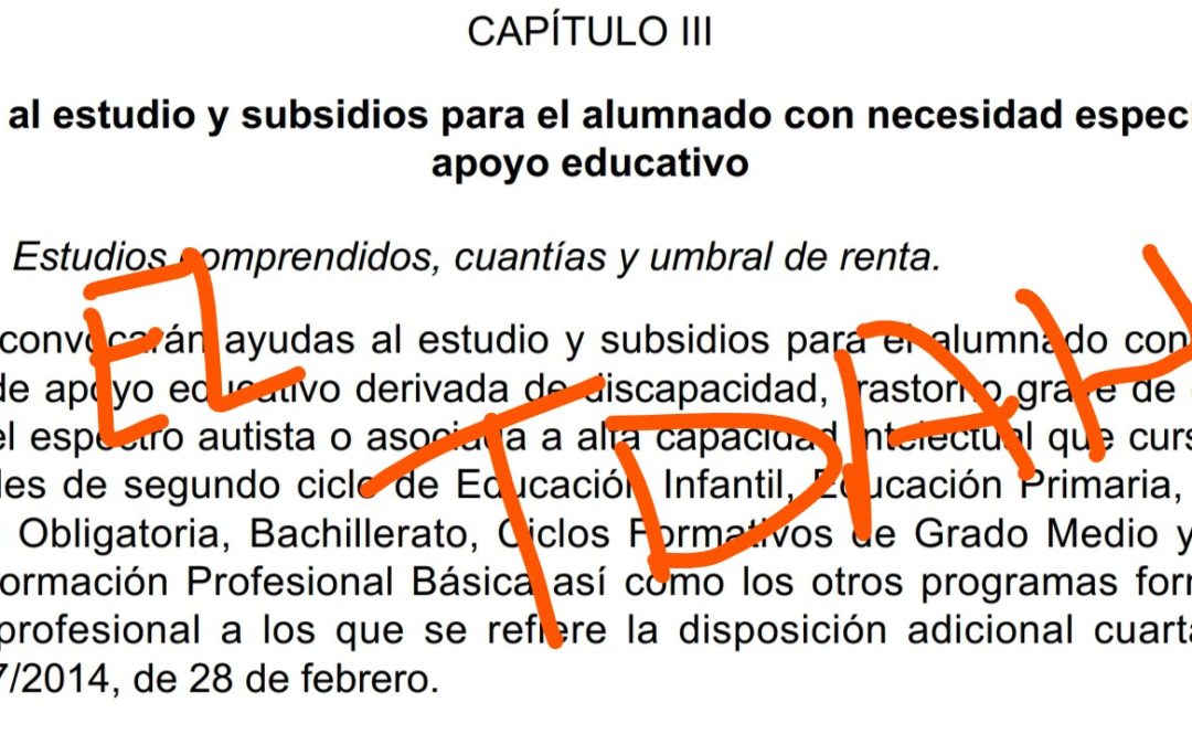 El ministerio de Educación excluye al TDAH de las «ayudas al estudio y subsidios para el alumnado con necesidad específica de apoyo educativo»