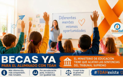 FEAADAH exige al Ministerio de Educación que incluya al alumnado con TDAH en las becas NEAES